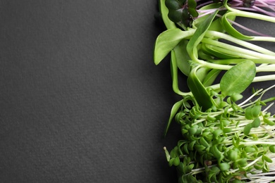 Photo of Different microgreens on black table, flat lay. Space for text