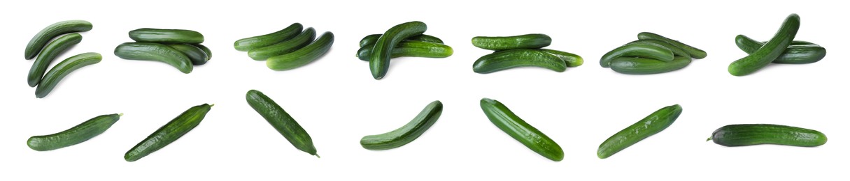 Set with whole ripe cucumbers on white background. Banner design