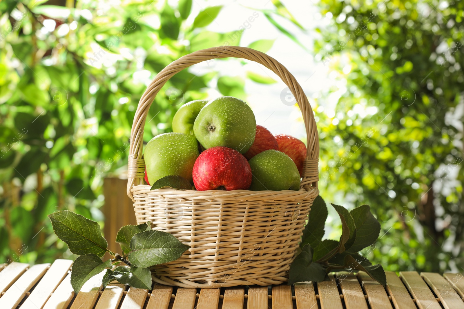 Photo of Different wet apples in wicker basket and green leaves on wooden table outdoors