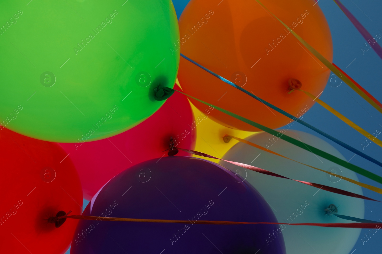 Photo of Bright colorful balloons with ribbons, bottom view
