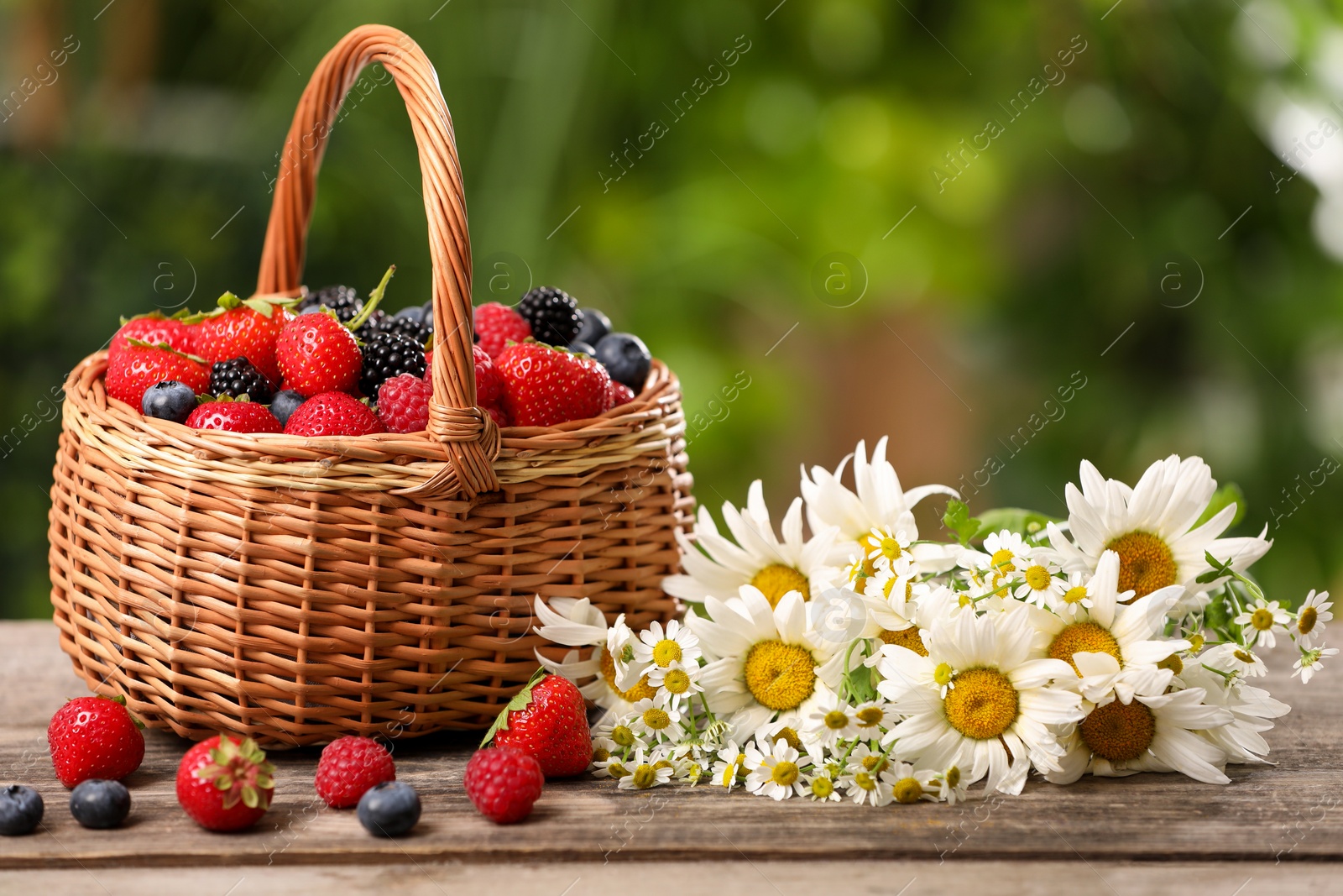 Photo of Wicker basket with different fresh ripe berries and beautiful chamomile flowers on wooden table outdoors