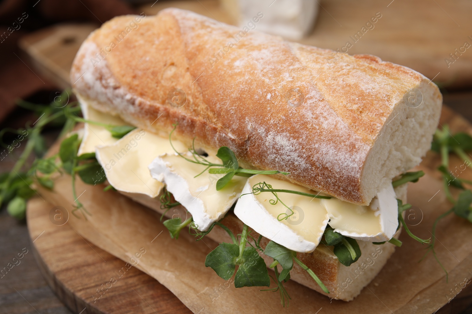 Photo of Tasty sandwich with brie cheese on table, closeup