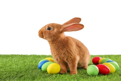 Cute bunny and Easter eggs on green grass against white background