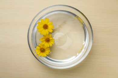 Glass bowl with water and yellow flowers on wooden table, top view
