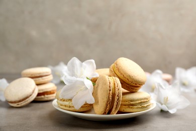 Delicious macarons and flowers on grey table