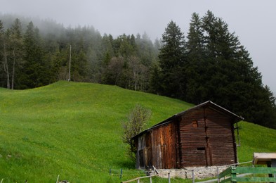 Photo of View of old wooden house and conifer forest on green hill
