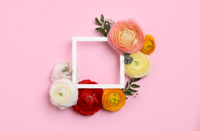 Photo of Frame and beautiful ranunculus flowers on pink background, flat lay. Space for text