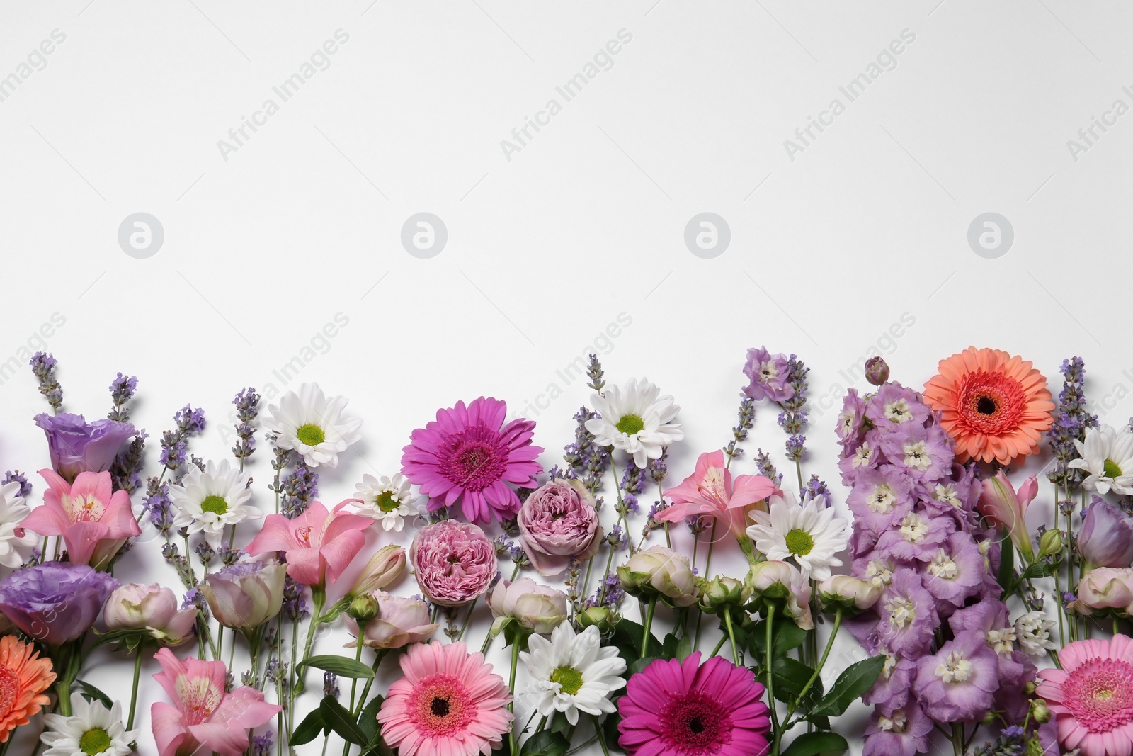 Photo of Flat lay composition with different beautiful flowers on white background, space for text