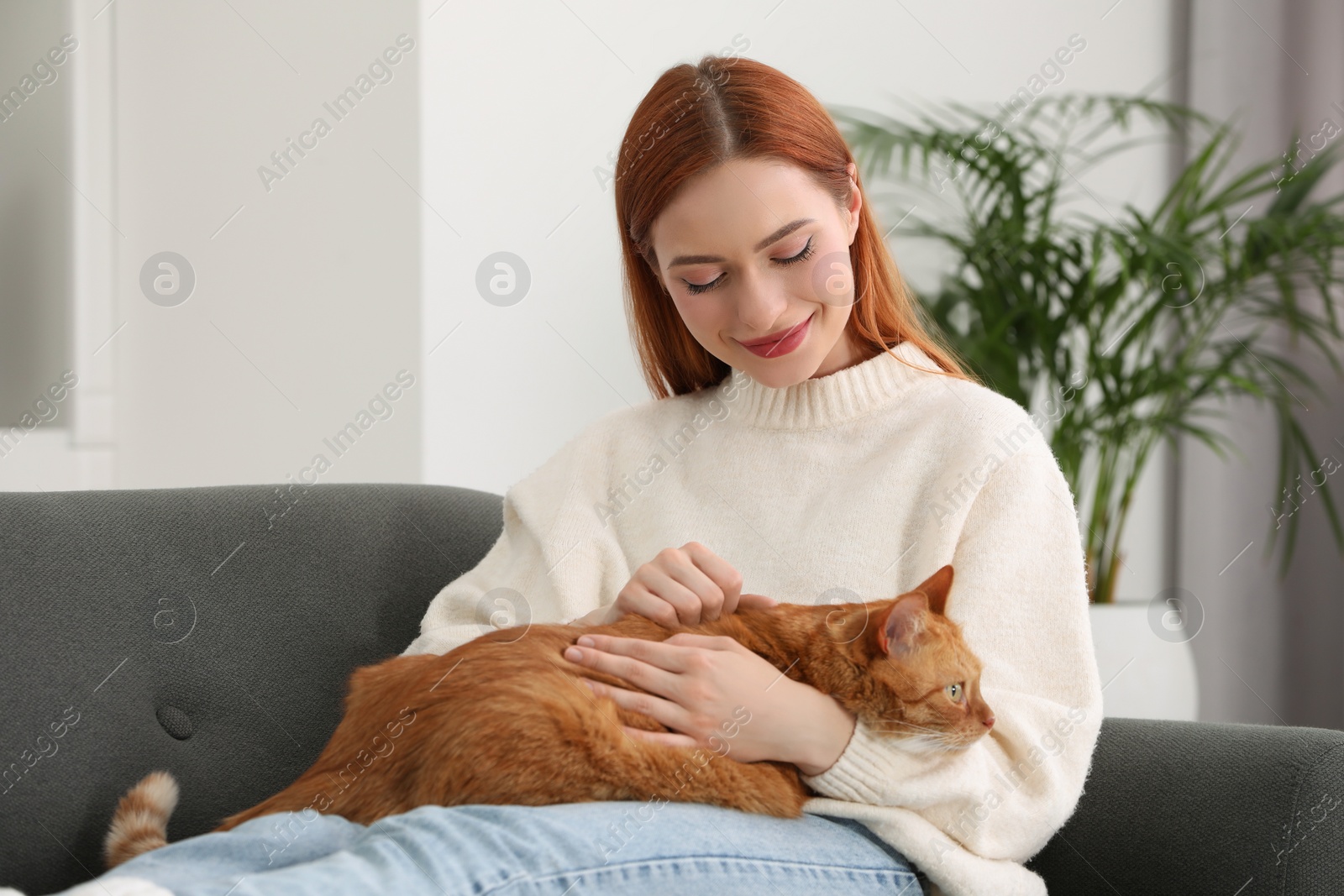 Photo of Woman stroking her cute cat on sofa at home