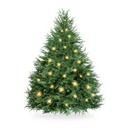 Image of Christmas tree decorated and festive lights isolated on white