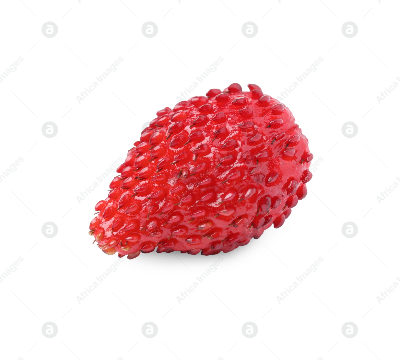 Photo of One ripe wild strawberry isolated on white