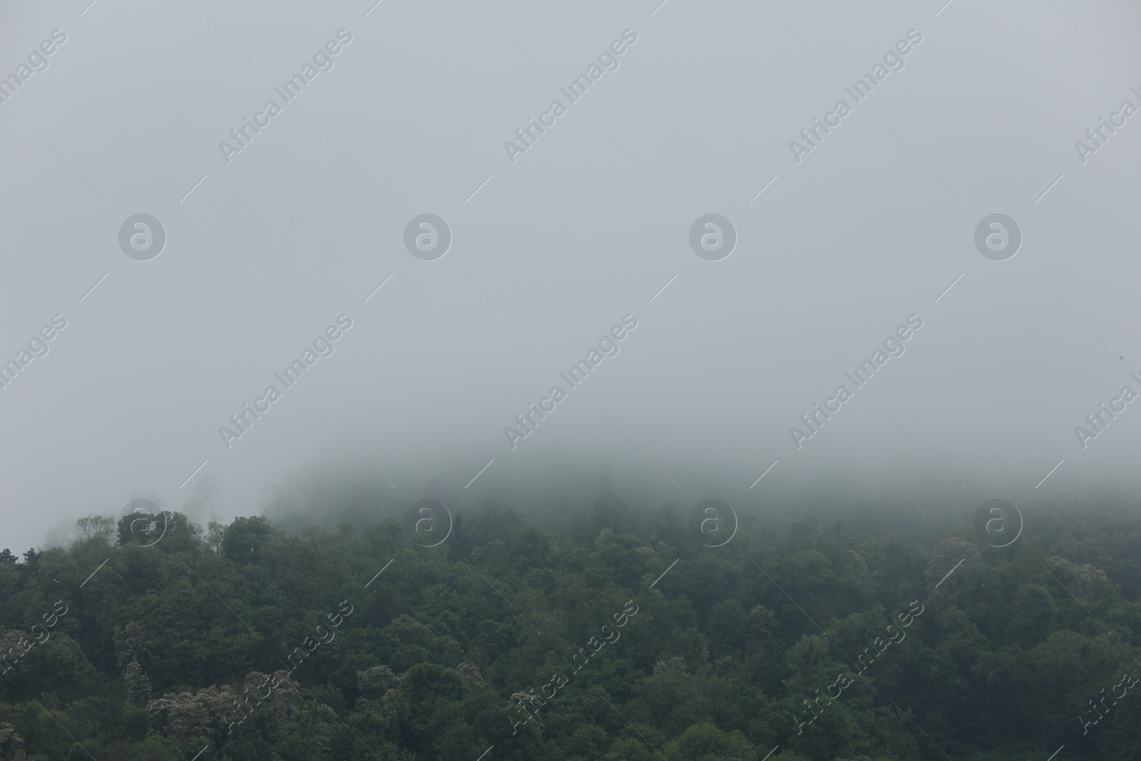 Photo of Picturesque view of fog over forest on cloudy day