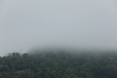 Picturesque view of fog over forest on cloudy day