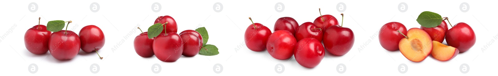 Image of Set with delicious ripe cherry plums on white background. Banner design