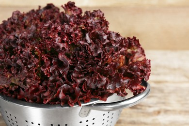 Photo of Colander with red coral lettuce on wooden table, closeup
