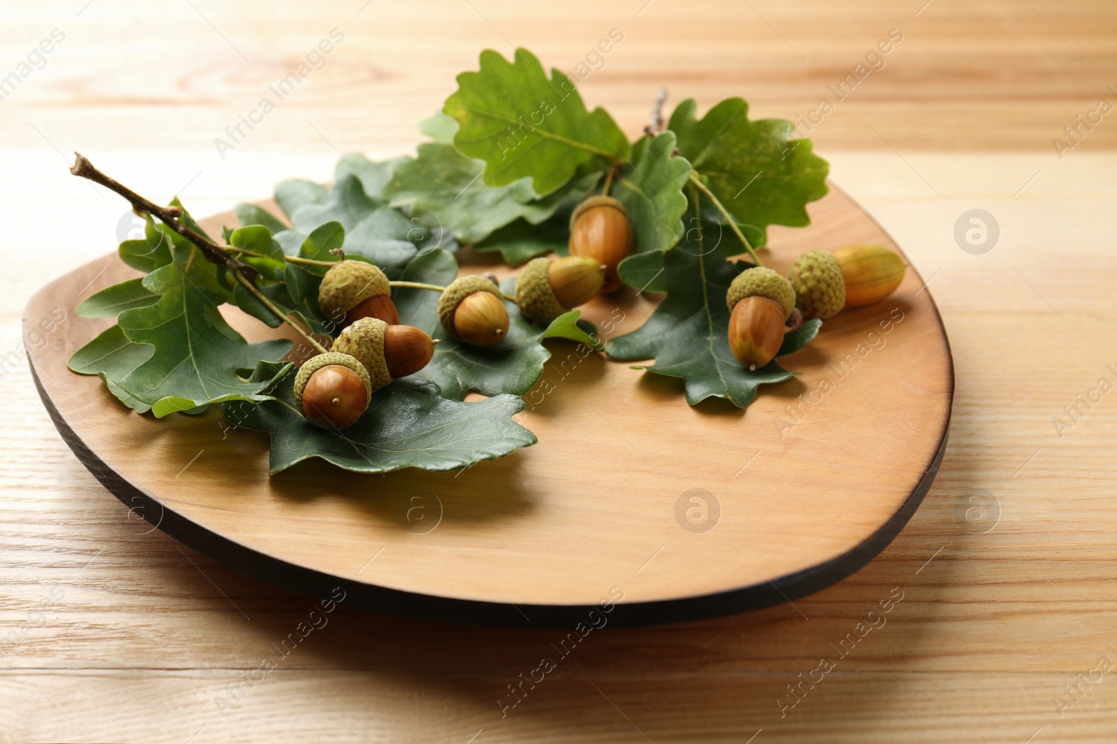 Photo of Acorns and oak leaves on wooden table