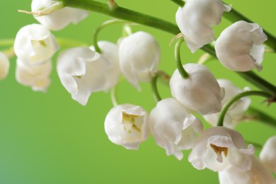 Beautiful lily of the valley flowers on blurred green background, closeup