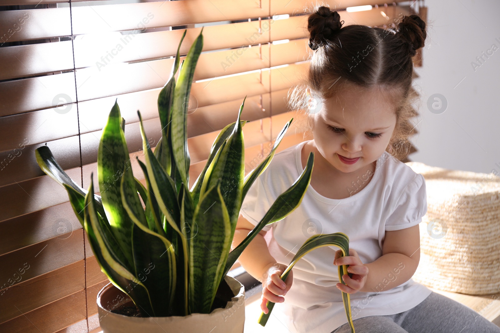 Photo of Curious little girl breaking houseplant at home