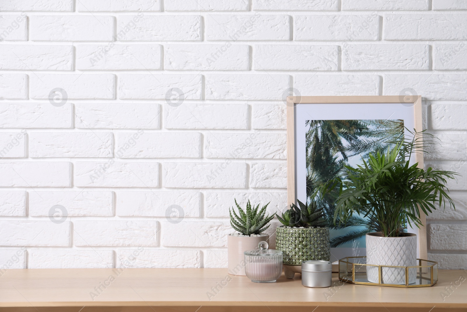 Photo of Beautiful Chamaedorea, Aloe and Haworthia in pots with decor on wooden table near white brick wall, space for text. Different house plants
