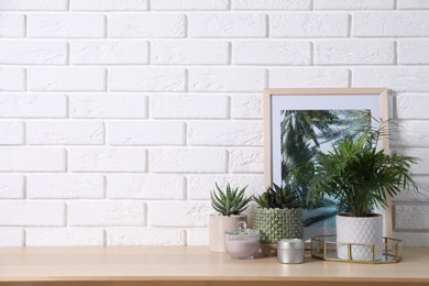 Beautiful Chamaedorea, Aloe and Haworthia in pots with decor on wooden table near white brick wall, space for text. Different house plants