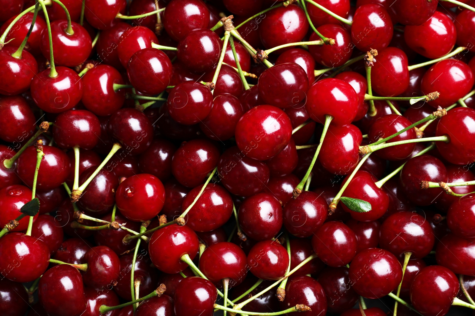 Photo of Sweet red cherries as background, closeup view