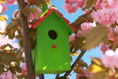Photo of Green bird house on tree branches outdoors
