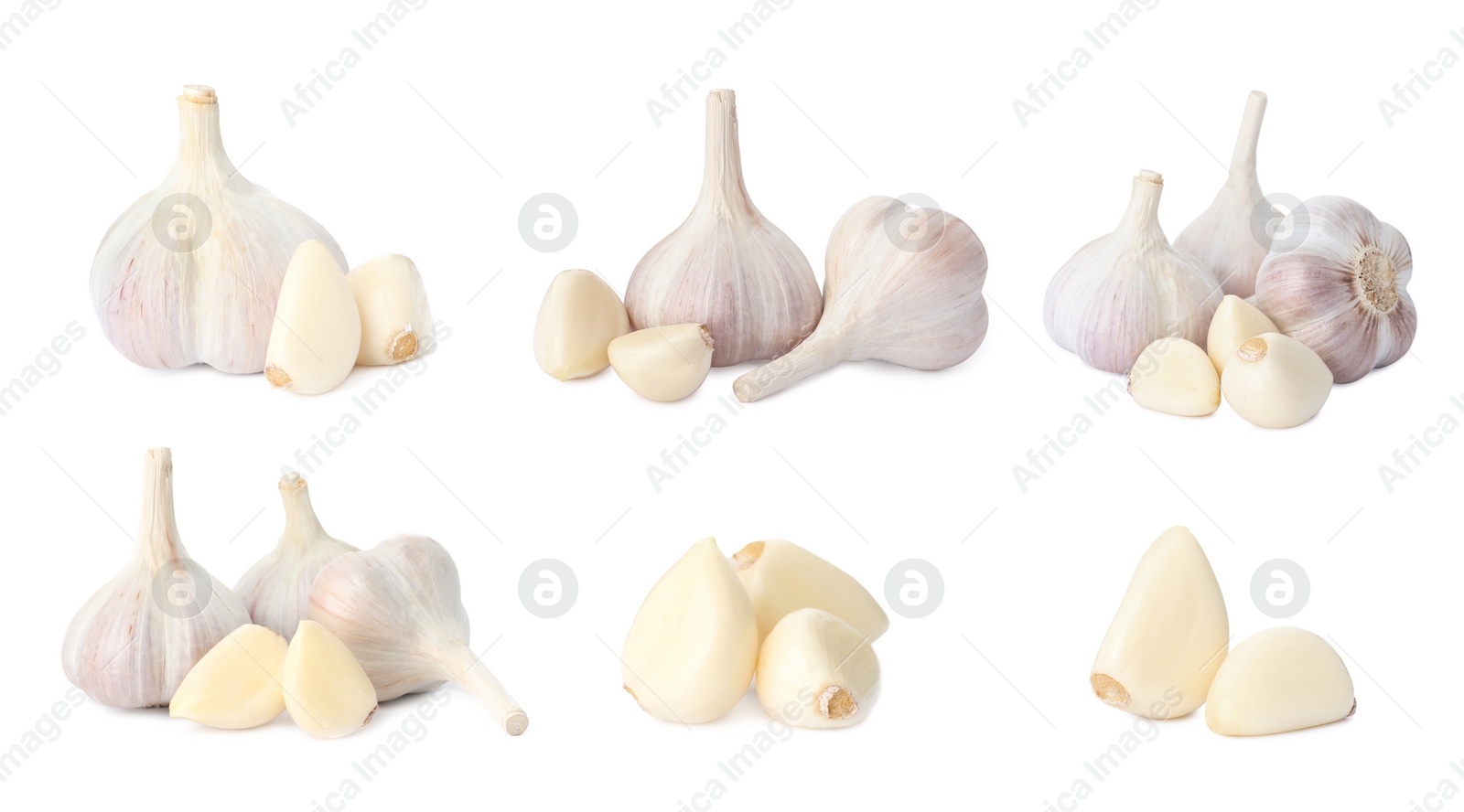 Image of Set of garlic bulbs and cloves on white background