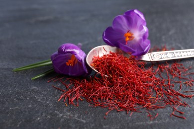 Photo of Dried saffron and crocus flowers on grey table, closeup