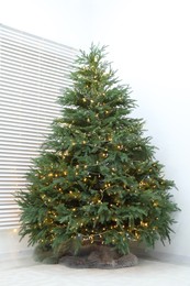 Beautiful Christmas tree with golden lights indoors