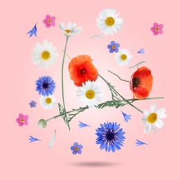 Image of Beautiful meadow flowers falling on pink background