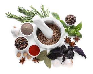 Photo of Mortar with pestle and different spices on white background, top view