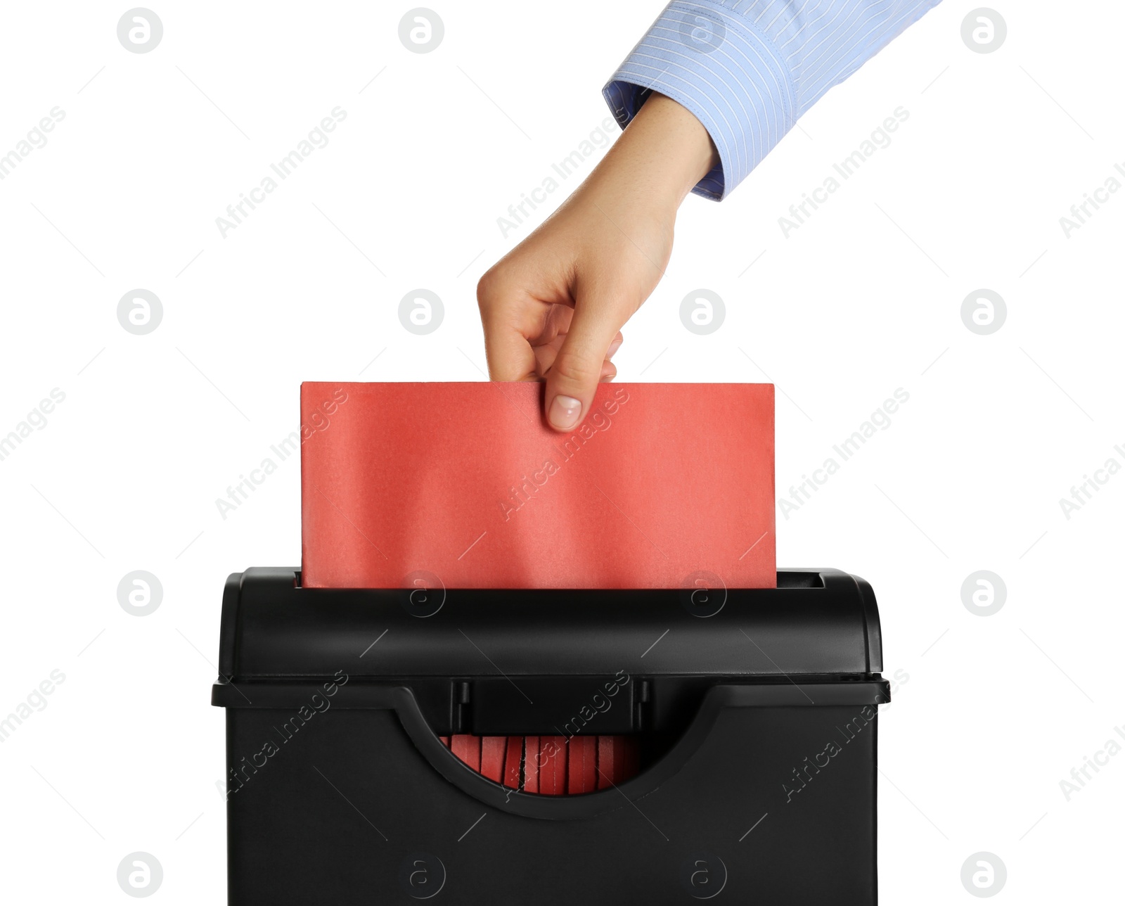 Photo of Woman destroying sheet of red paper with shredder on white background, closeup