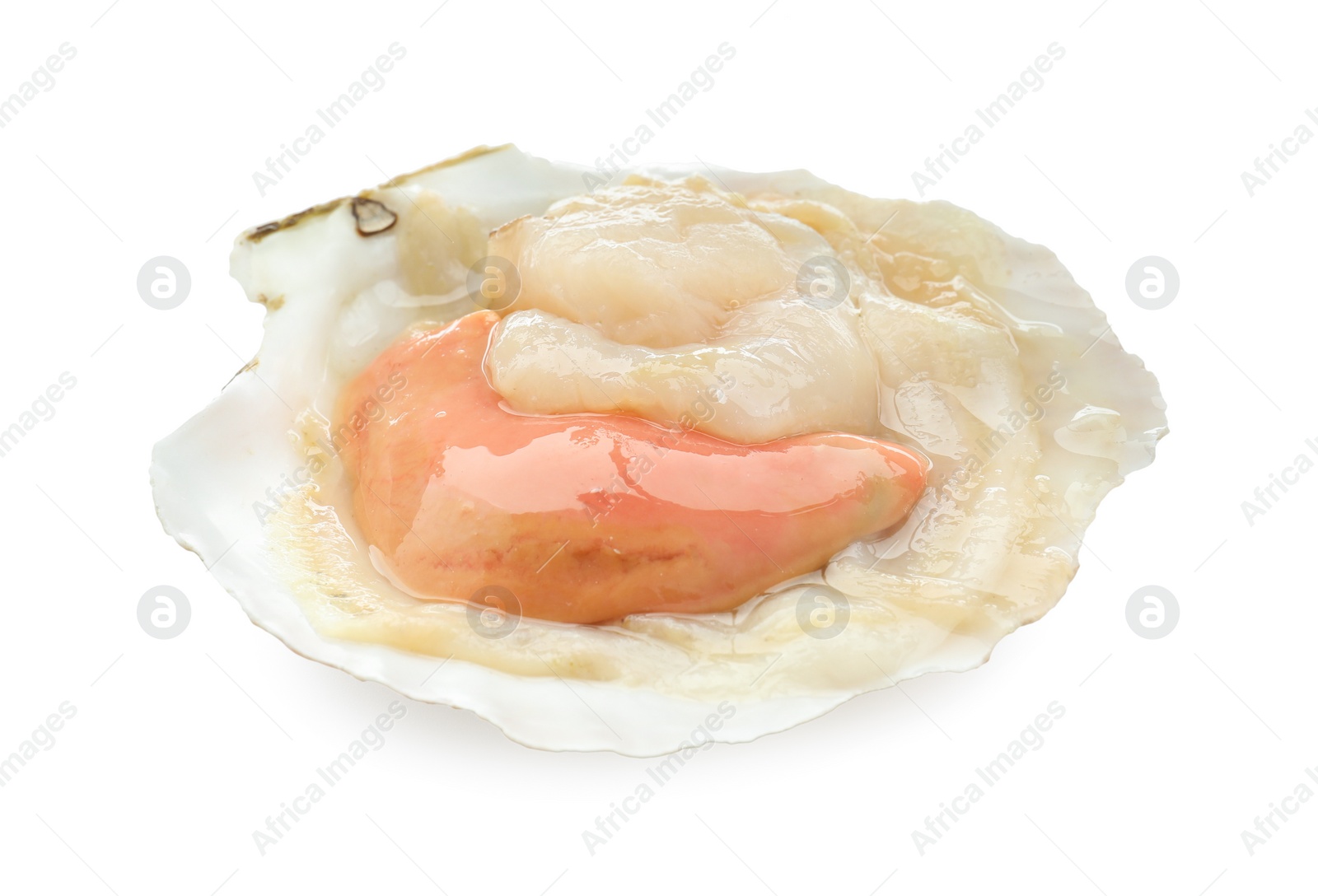 Photo of Fresh raw scallop in shell isolated on white