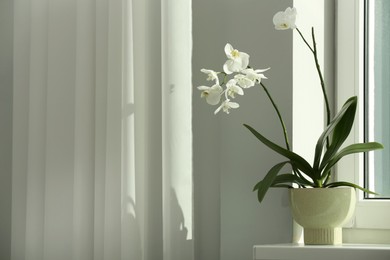 Photo of Blooming white orchid flower in pot on windowsill, space for text