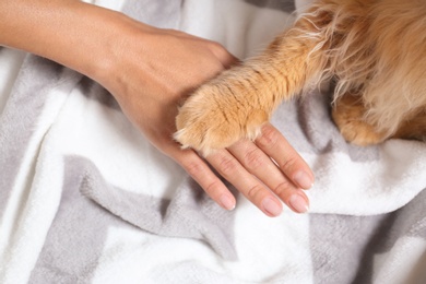 Woman and cat holding hands together on warm blanket, top view