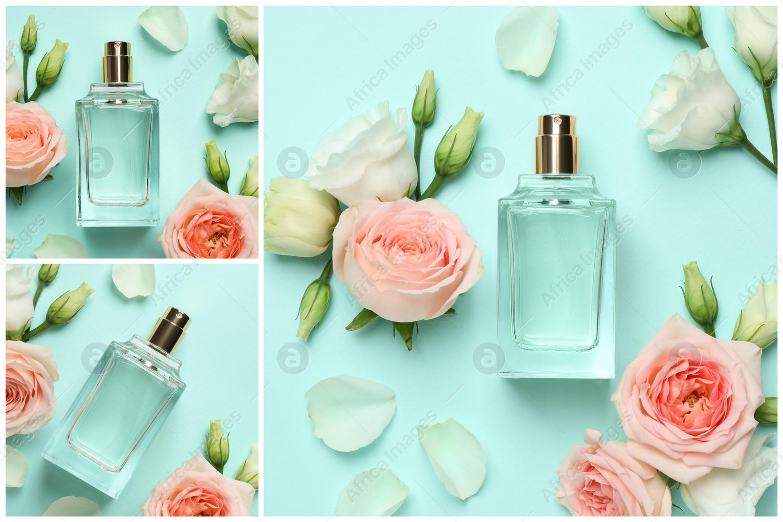 Image of Creative collage with photos of luxury perfume and beautiful flowers on color backgrounds 