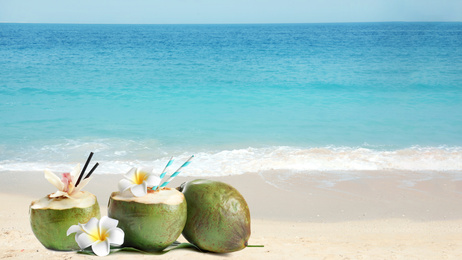 Green coconuts with refreshing drink and flowers on sandy beach near sea, space for text