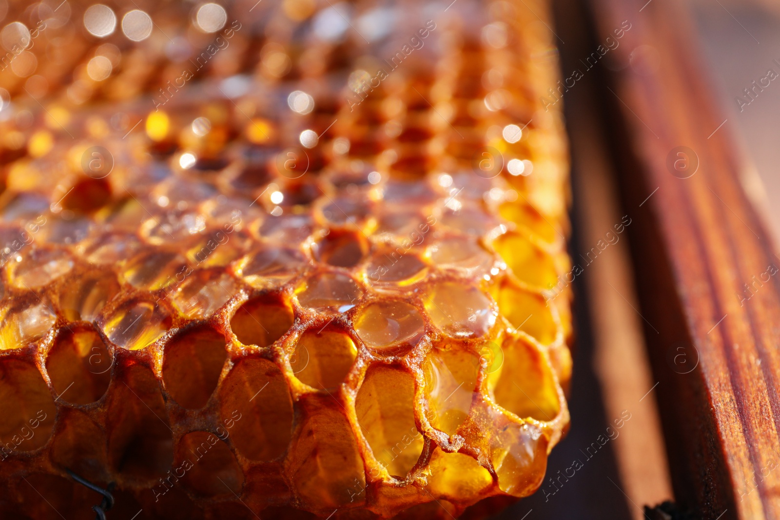 Photo of Closeup view of uncapped filled honeycomb frame