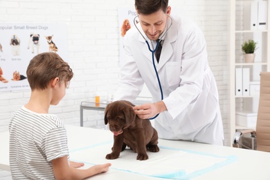 Photo of Boy with his pet visiting veterinarian in clinic. Doc examining puppy