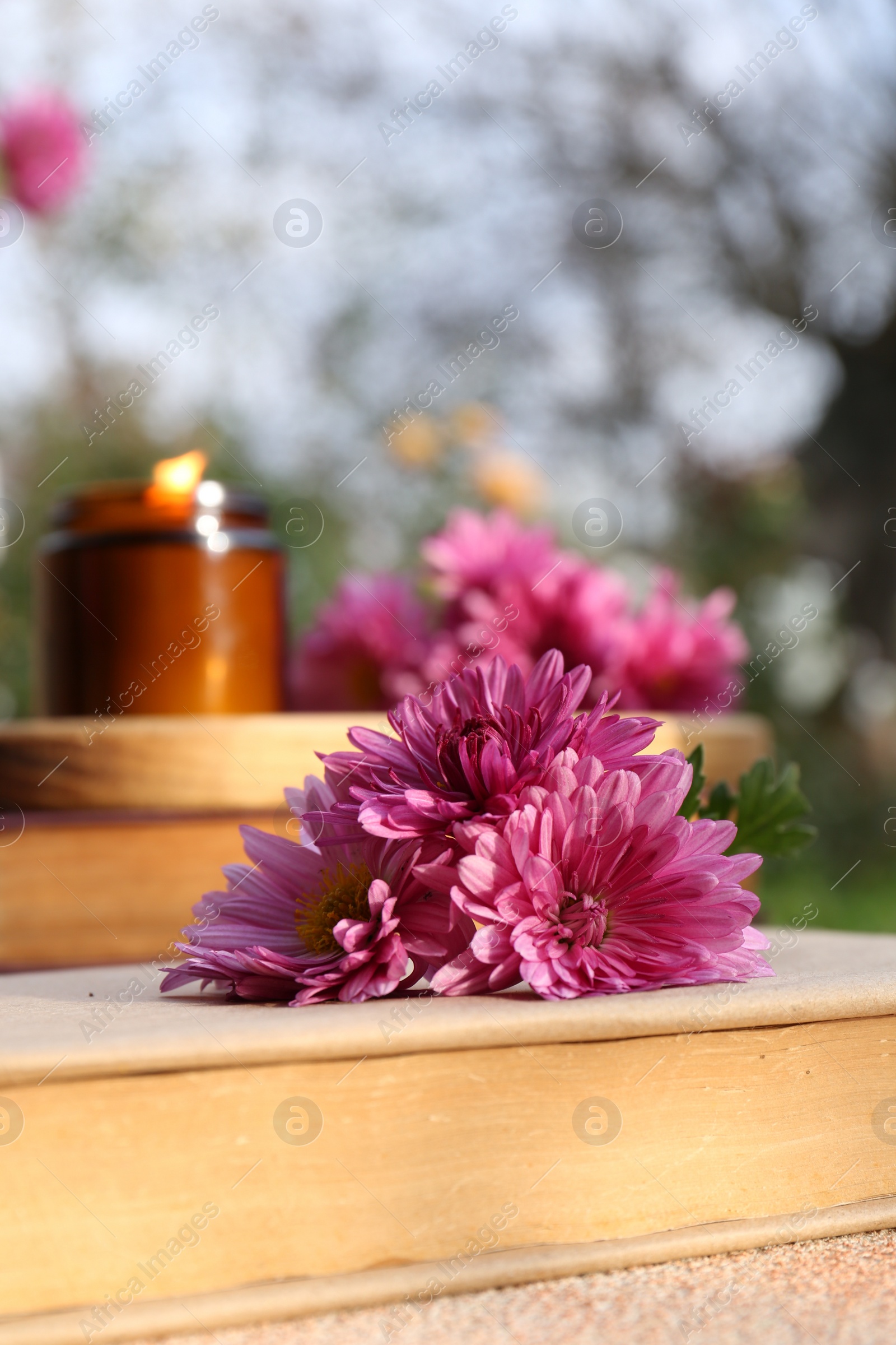 Photo of Book with chrysanthemum flowers as bookmark on beige textured table, closeup