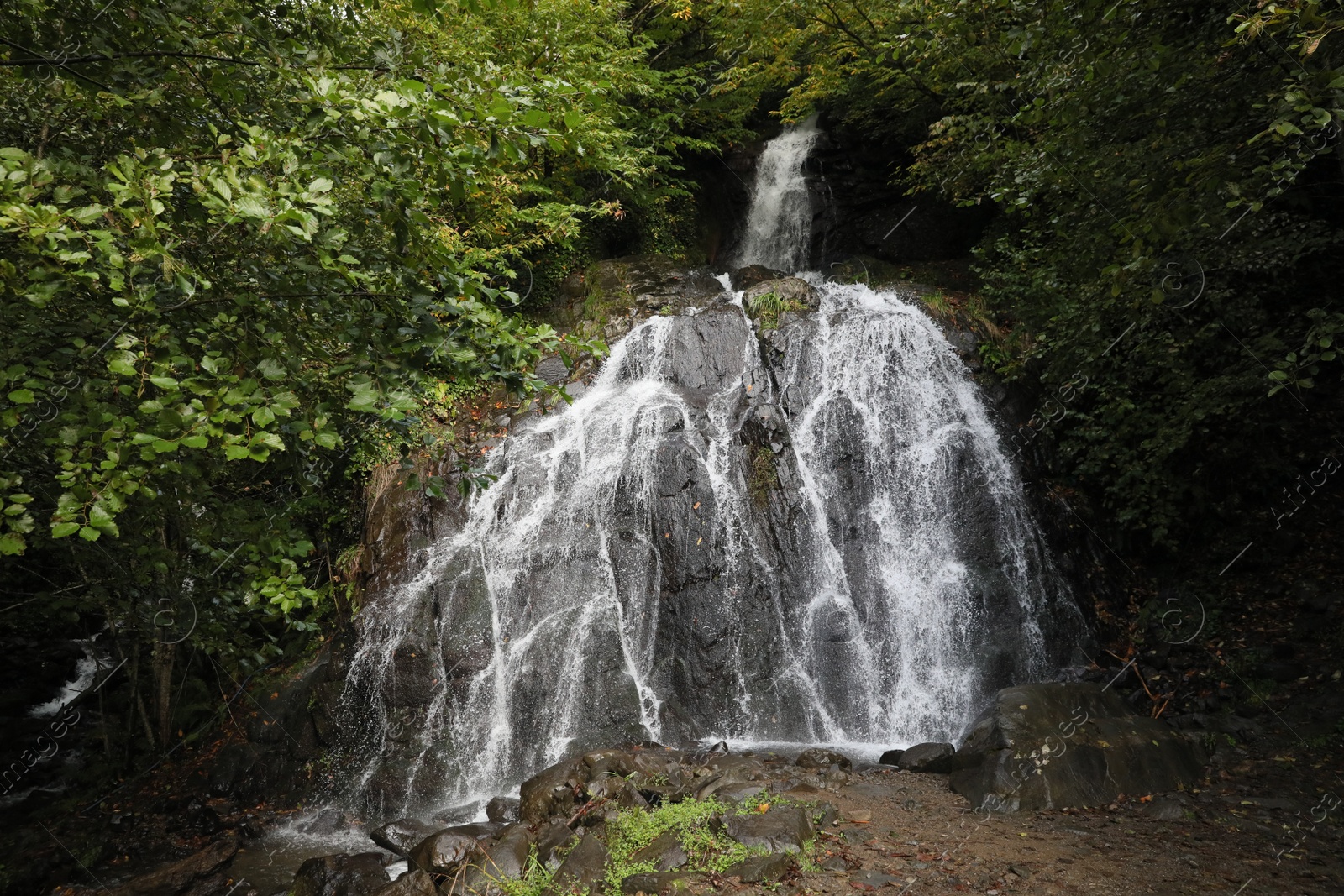 Photo of Picturesque view of small waterfall in forest