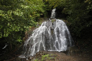 Photo of Picturesque view of small waterfall in forest