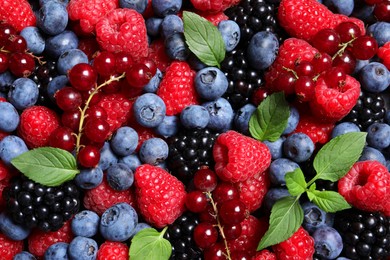 Assortment of fresh ripe berries with green leaves as background, top view