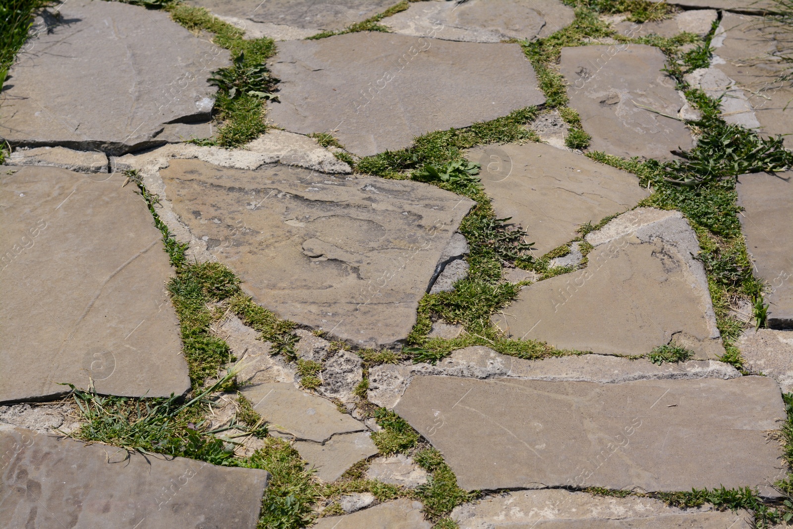 Photo of Old stone pathway with green grass as background