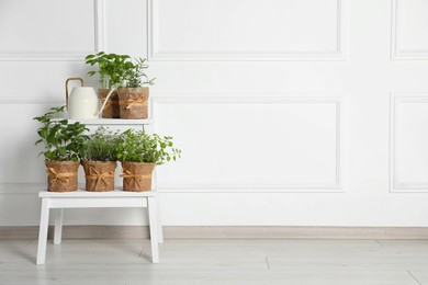 Photo of Different aromatic potted herbs and watering can on stand near white wall indoors. Space for text