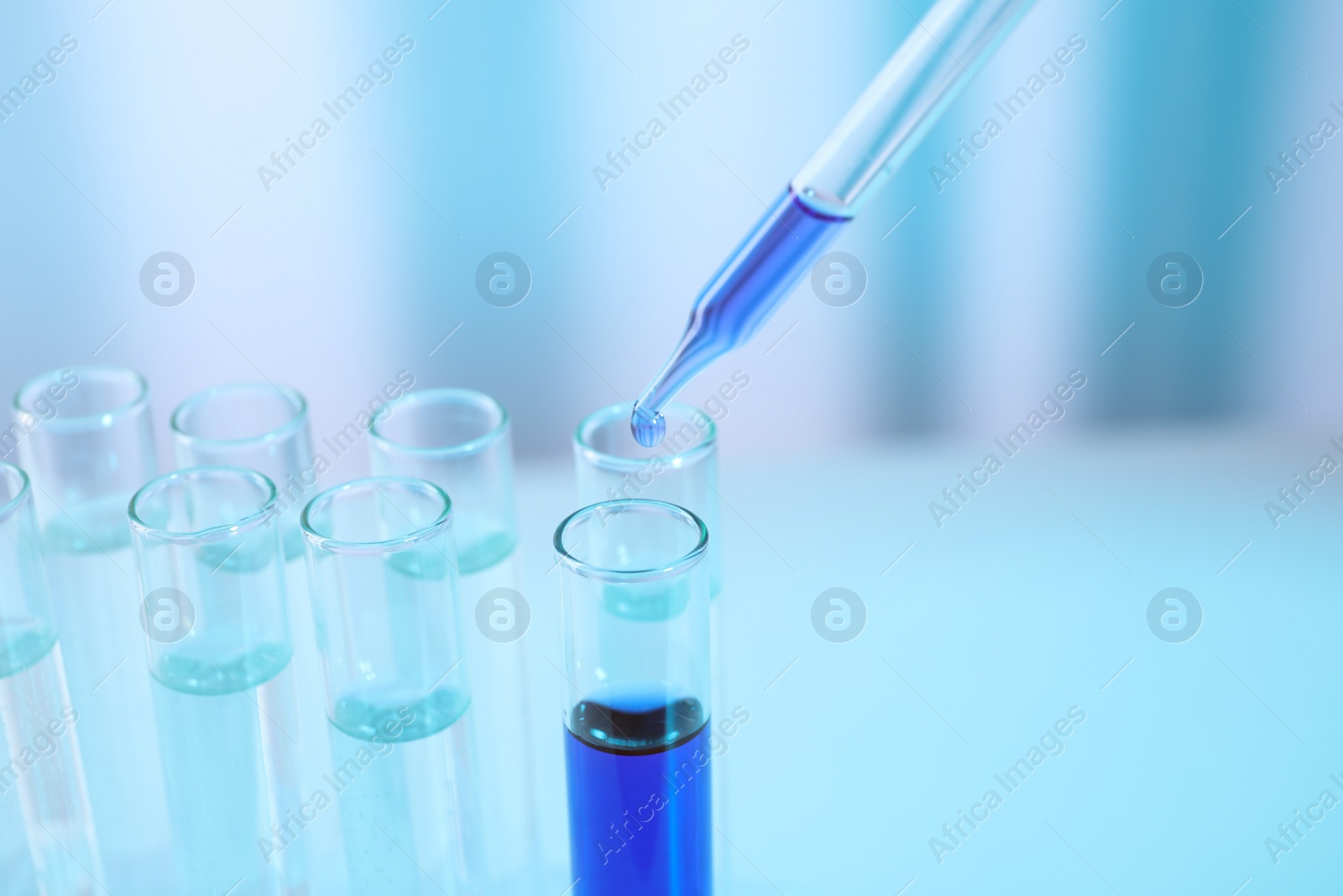 Photo of Dripping sample into test tube in chemistry laboratory, closeup