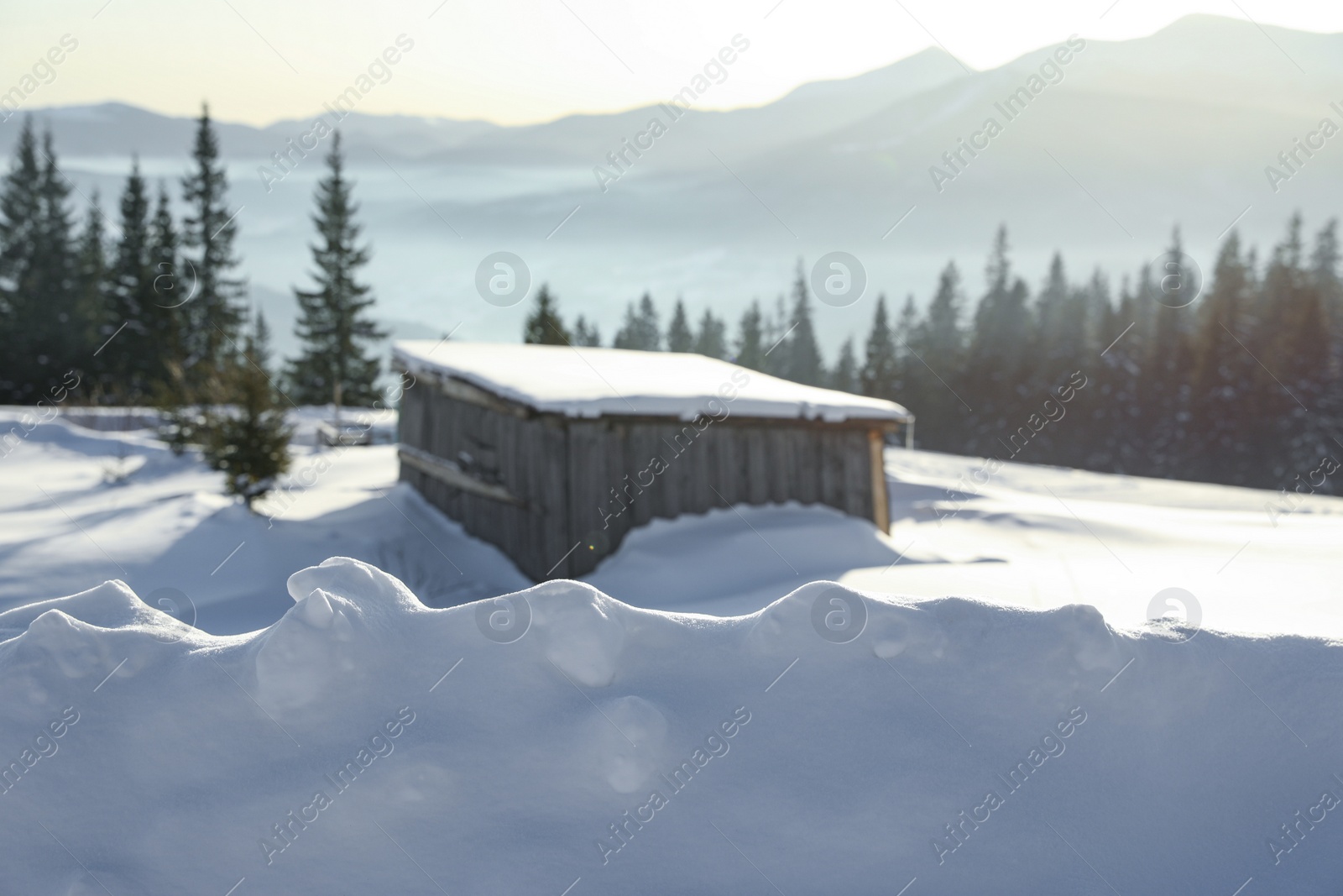 Photo of Wooden house covered with snow on winter day