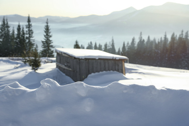 Photo of Wooden house covered with snow on winter day