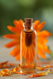 Bottle of essential oil with calendula extract and flower petals on table, closeup