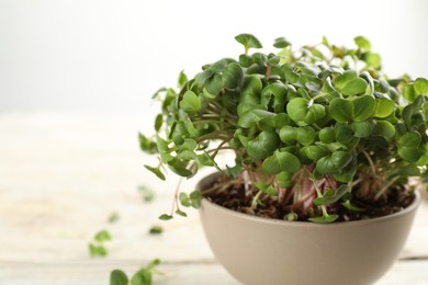 Fresh radish microgreens in bowl on white table, closeup. Space for text